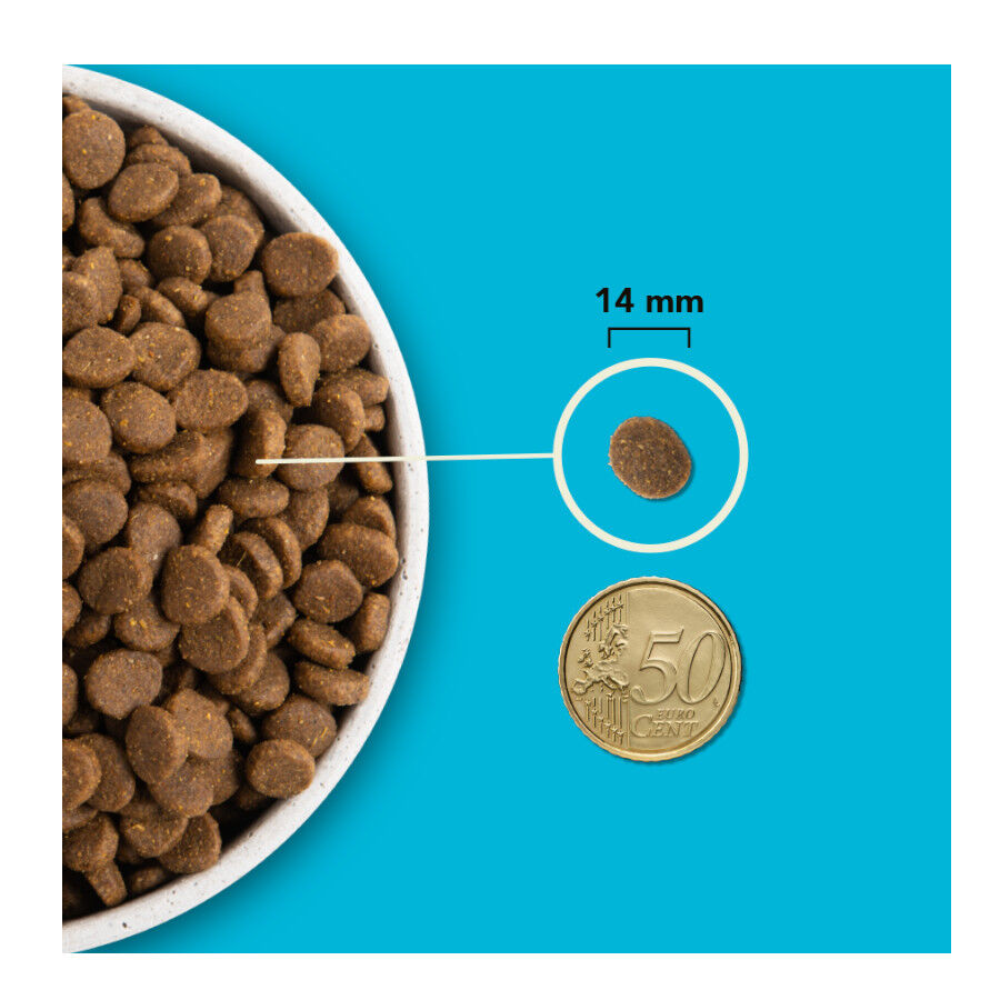 Acana HP Pacífica pienso para perros thumbnail