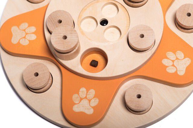 Juego de inteligencia para perros Flower thumbnail