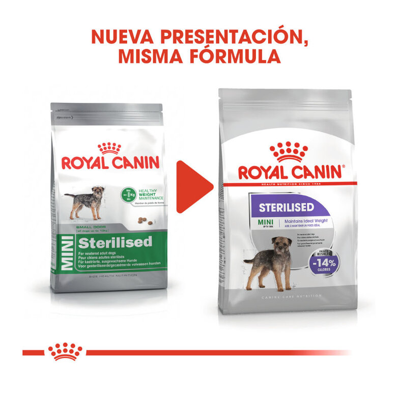 Royal Canin Sterilised Mini pienso para perros, , large image number null