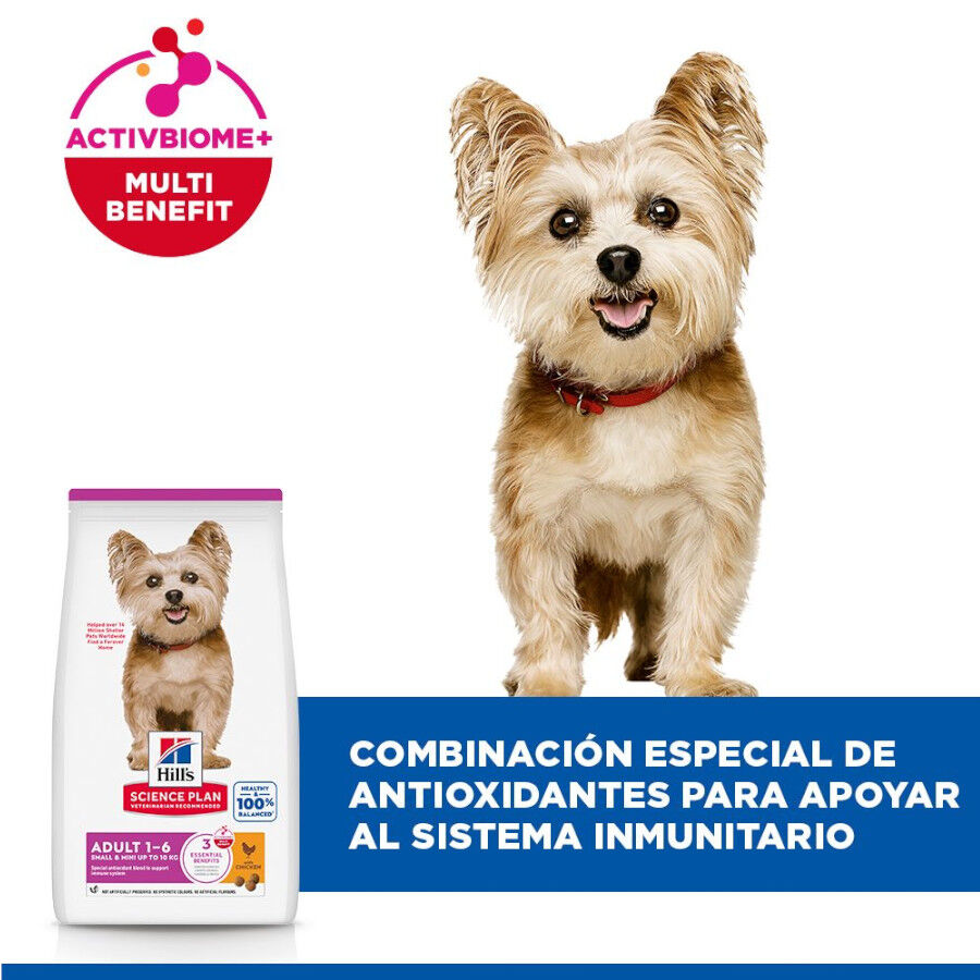 10 kg Hill's Science Plan Adult Small y Mini Pollo pienso para perros, , large Imagen numero 4