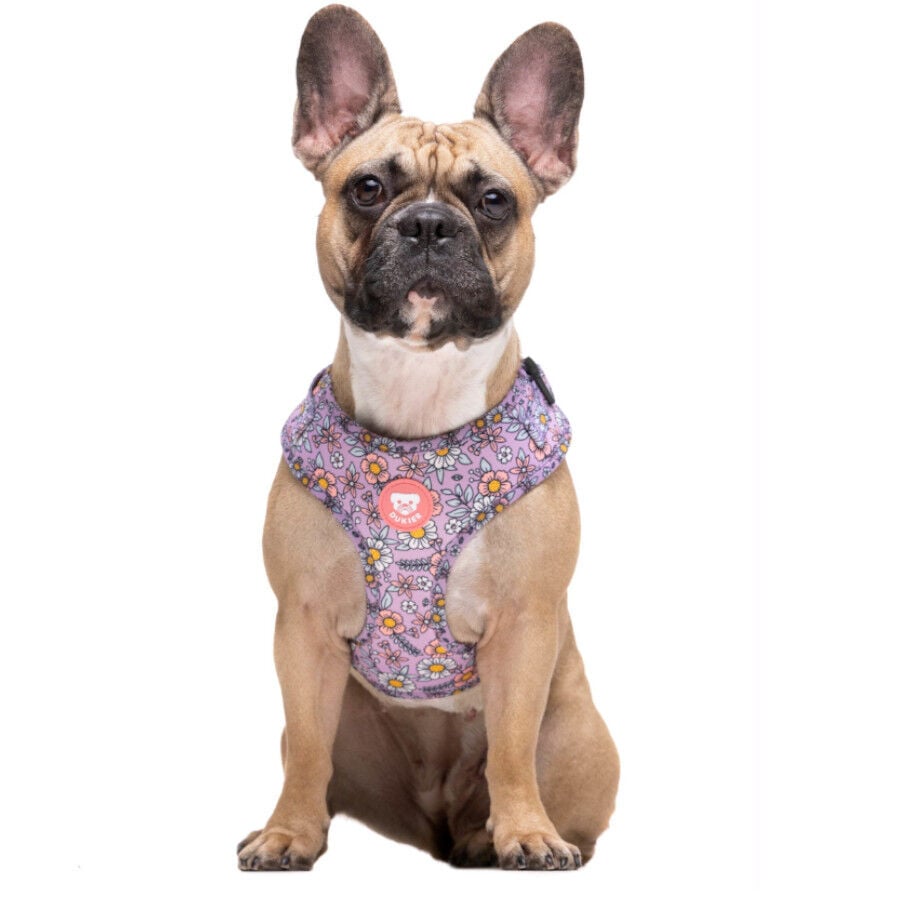 Dukier Flower Power Arn&eacute;s Ajustable para perros, , large Imagen numero 2