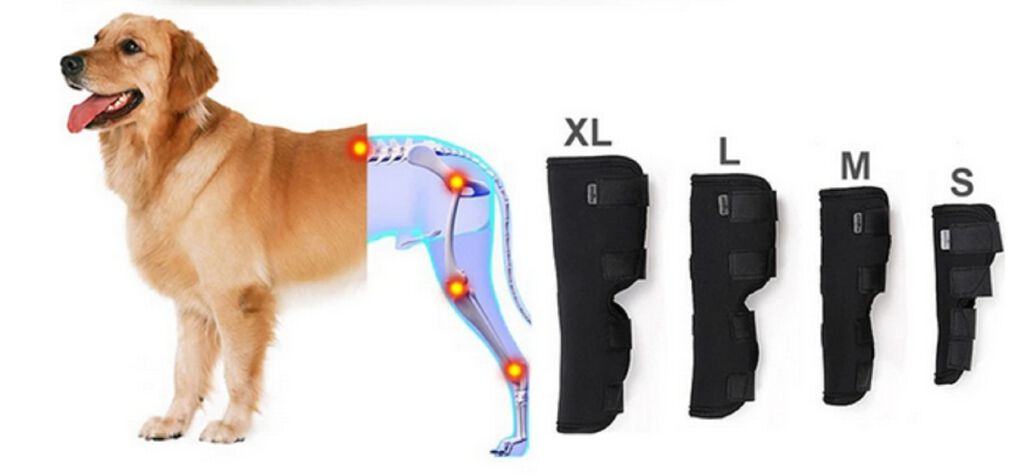 Protector Articular Trasero Talla XL, , large Imagen numero 4