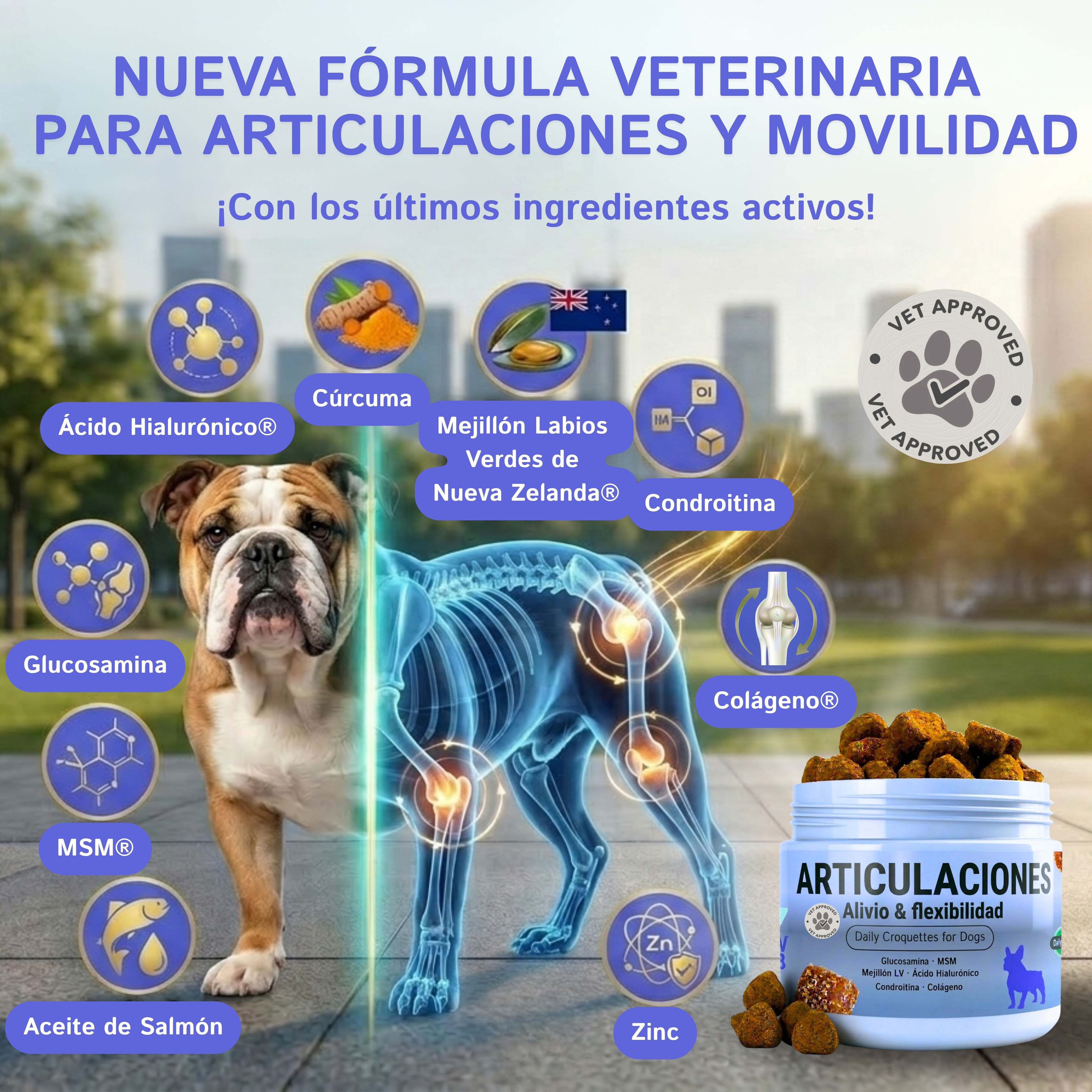 Condroprotector Perros Hecho en Espa&ntilde;a 200 Uds Suplemento 100% Natural C&uacute;rcuma &Aacute;cido Hialur&oacute;nico Mejill&oacute;n Labios Verdes MSM Glucosamina Condroitina Salm&oacute;n Col&aacute;geno | Complemento Articulaciones Perro, , large Imagen numero 3