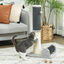 PawHut Poste Rascador para Gatos 85 cm Arañador para Gatos con Poste de Sisal Cepillo de Auto Acicalado y Bola de Juguete Gris y Crema, , large indicador imagen numero 2