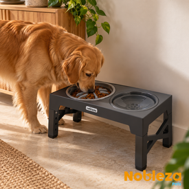 Nobleza Comedero y bebedero gris elevado para perros