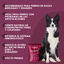 Tráqueas de ternera deshidratadas. Chuches para perros 100% Natural. MAIKAI PETS. 2 UDS., , large indicador imagen numero 4
