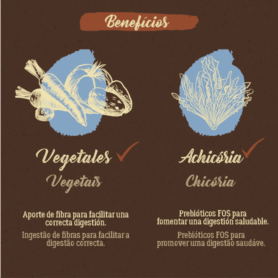 True Origins Pure Salmón pienso para perros thumbnail