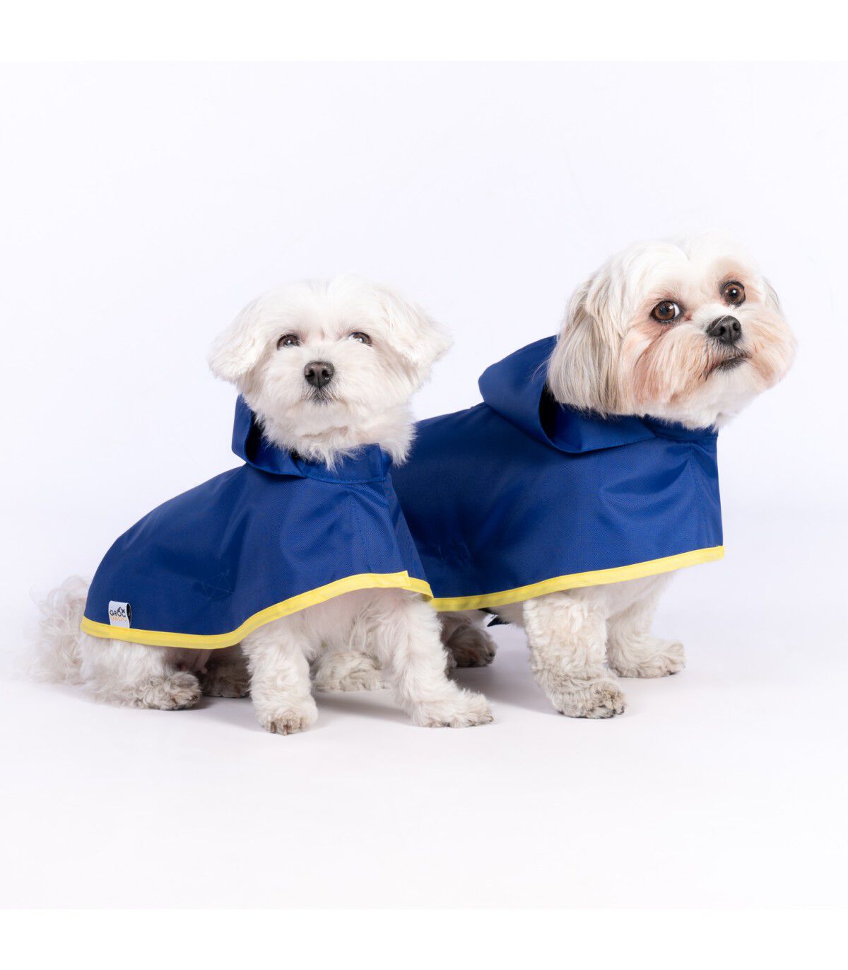Capa de Lluvia para perro Groc Groc Lola Azul Vivo, , large Imagen numero 2