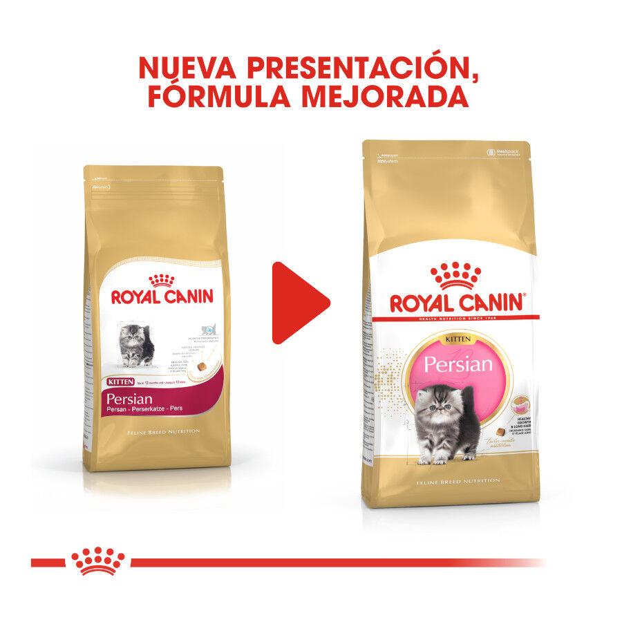 Royal Canin Kitten Persia pienso para gatos thumbnail
