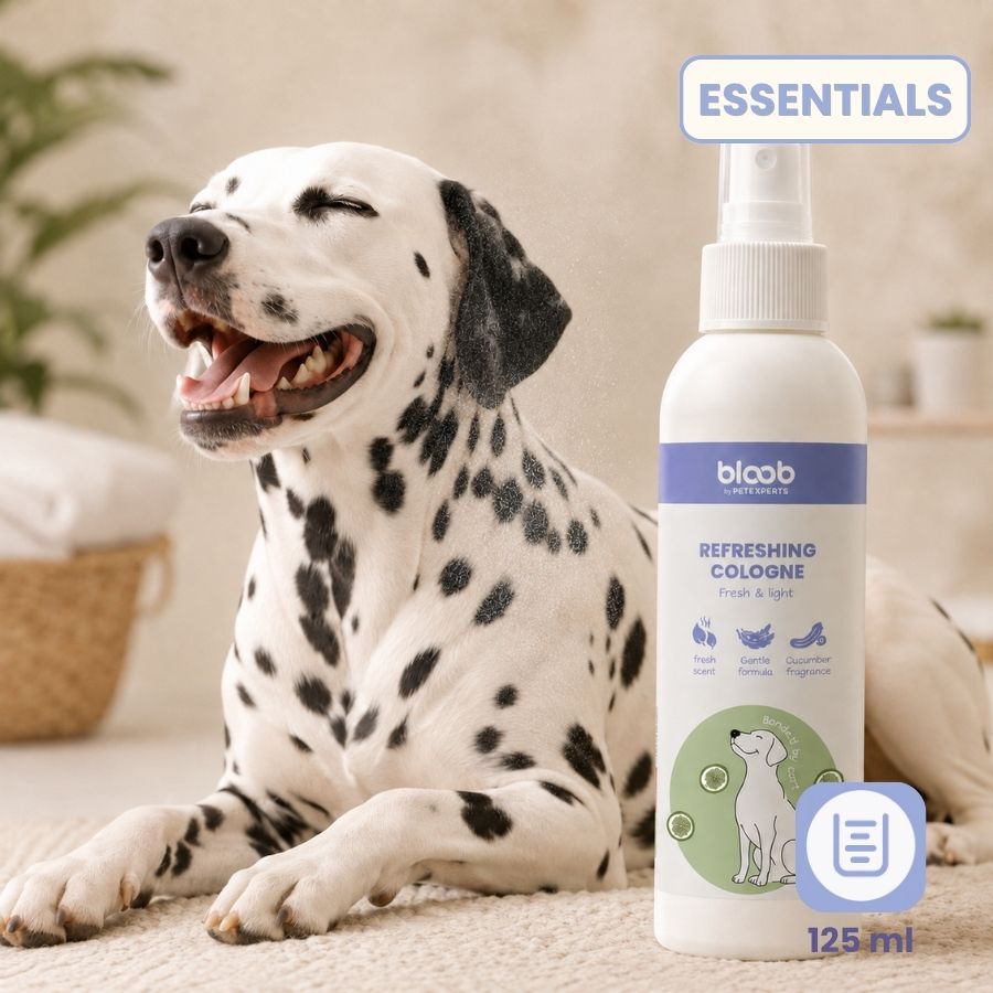 Bloob Colonia Refrescante Pepino para perros, , large Imagen numero 6