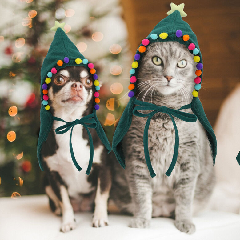 Nobleza Disfraz de Navidad para gatos y perros pequeños thumbnail