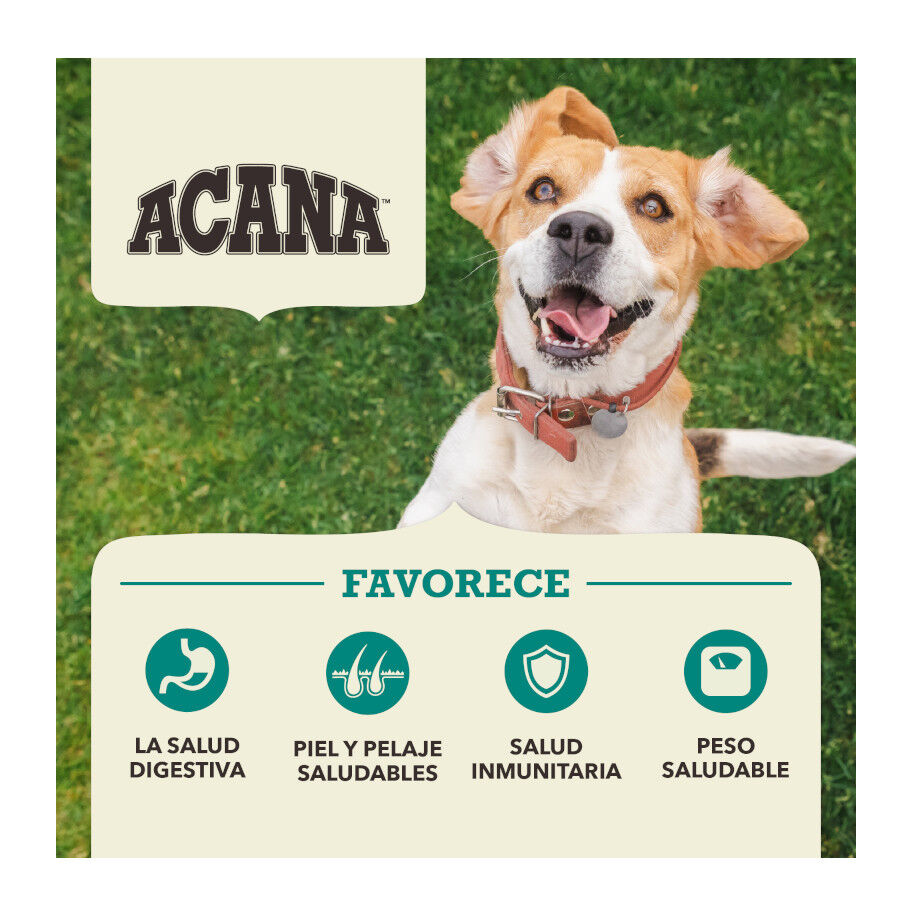 6 kg Acana Coldwater Fish pienso para perros, , large Imagen numero 3