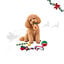 1 pack x 5 uds. Wonder Christmas Caja Snacks y Juguetes para perros, , large indicador imagen numero 1