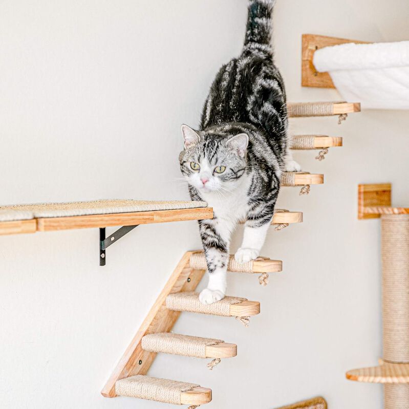 Estanter&iacute;as de Pared para Gatos de Madera Natural &ndash; Dise&ntilde;o Modular Minimalista, Resistentes y F&aacute;ciles de Instalar, Compatibles con Fukumaru, , large Imagen numero 2