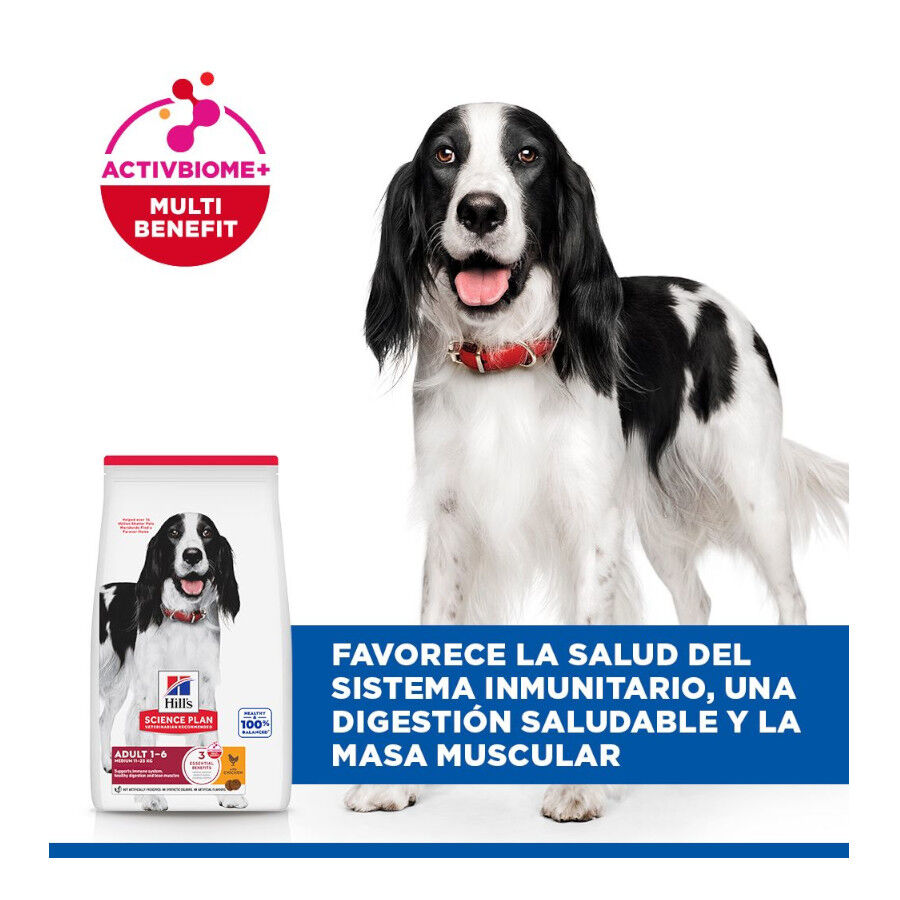 14 kg Hill's Science Plan Adult Medium Pollo pienso para perros, , large Imagen numero 4