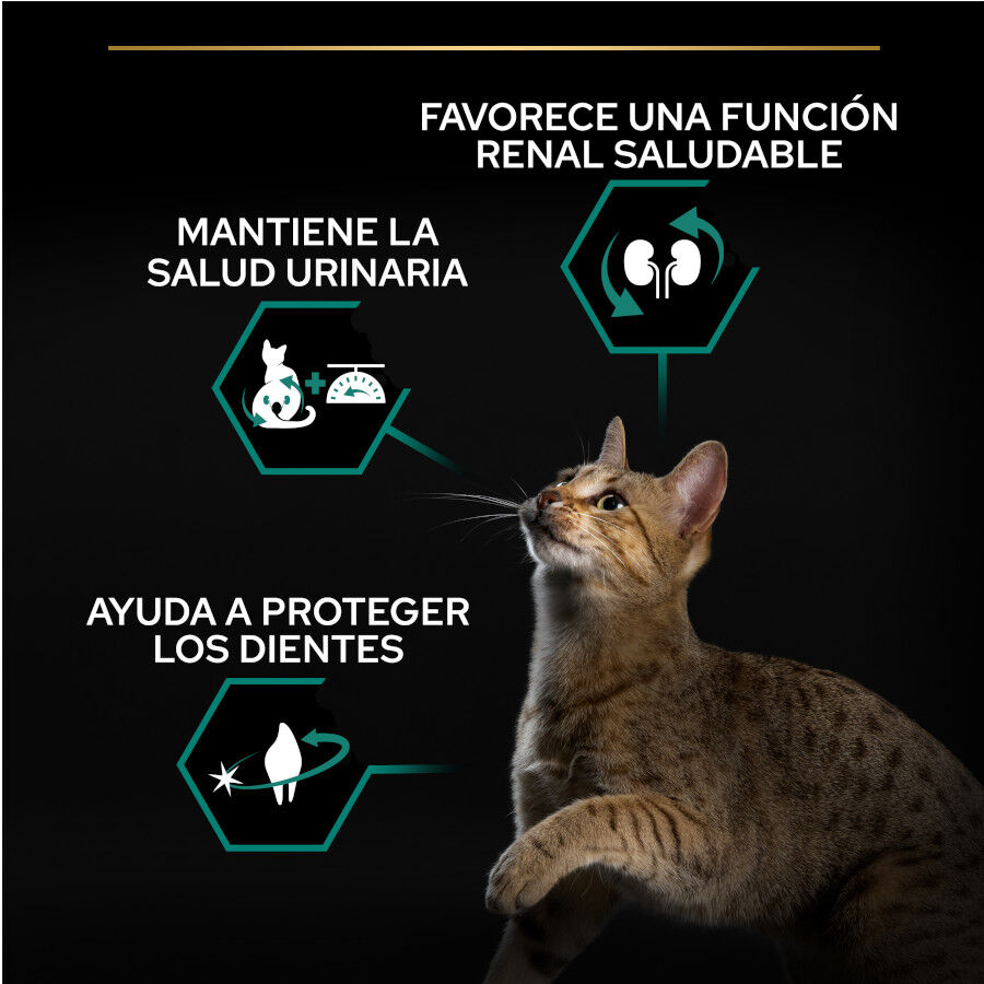 Pro Plan Adult Sterilized Salmón Pienso para gatos thumbnail