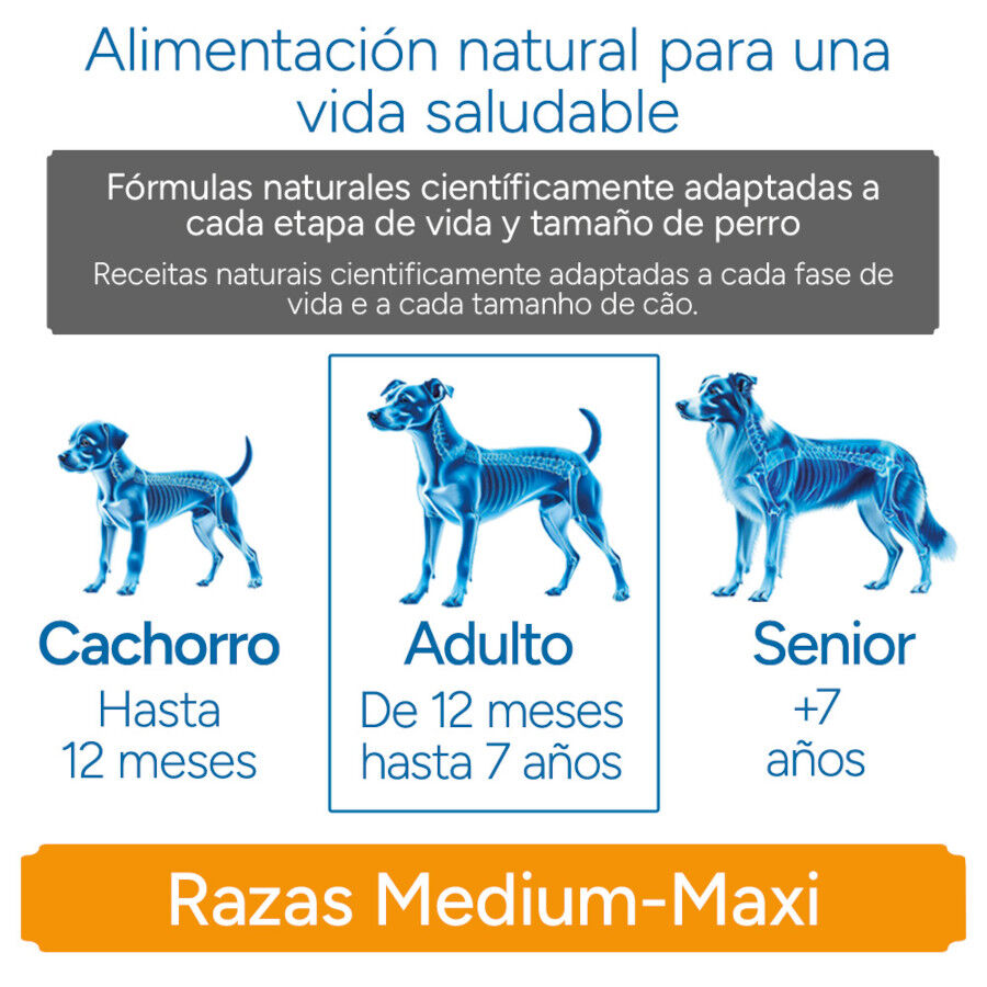 Criadores Cient&iacute;fico Sensitive Adulto Medium-Maxi Pienso Salm&oacute;n para perros, , large Imagen numero 11