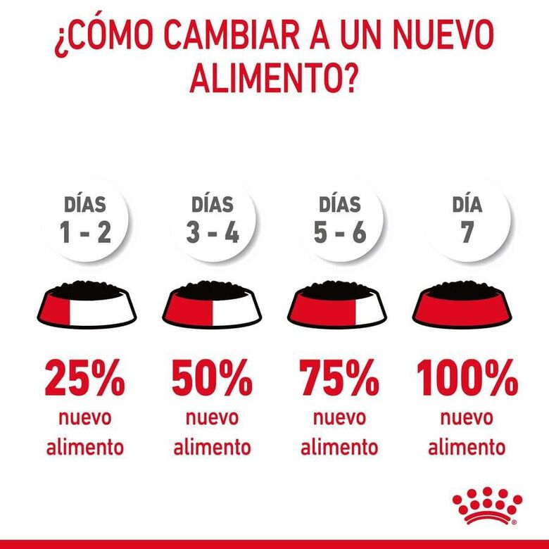 Royal Canin Intense Beauty gelatina sobre para gatos thumbnail