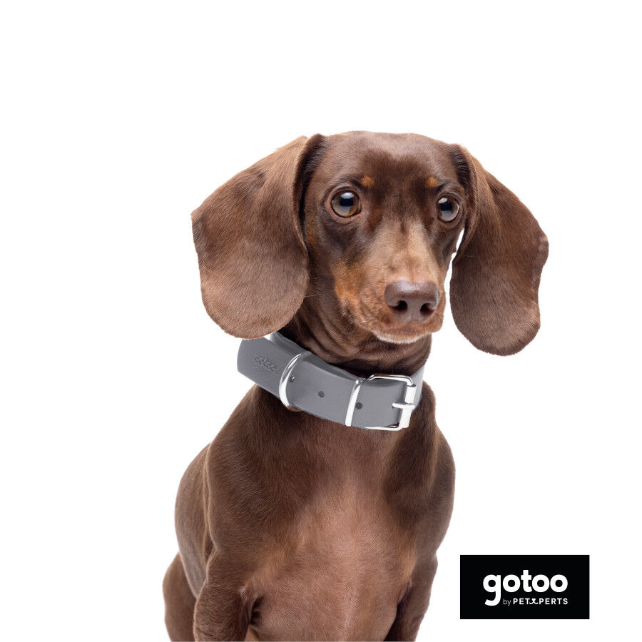 Gotoo Collar Biothane gris para perros, , large Imagen numero 4