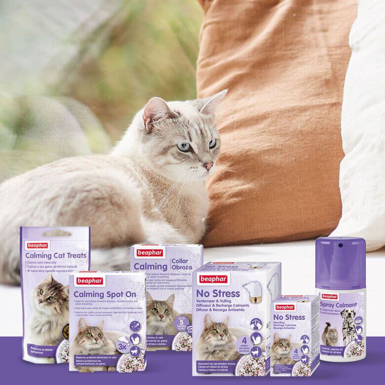 Beaphar Calming Collar Relajante para gatos5 Imagen numero 5