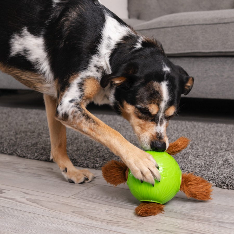 Outward Hound Snuffle n’ Treat Pelota Interactiva Portagolosinas para perros thumbnail