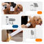 Kit de aseo canino 7 en 1 Oneisall S1 - Set de aseo canino - Peluquero para mascotas - Aspirador y recortador - Gatos y perros - Recipiente recolector de 1,5 l - Aspirador para pelo de mascotas, , large indicador imagen numero 3