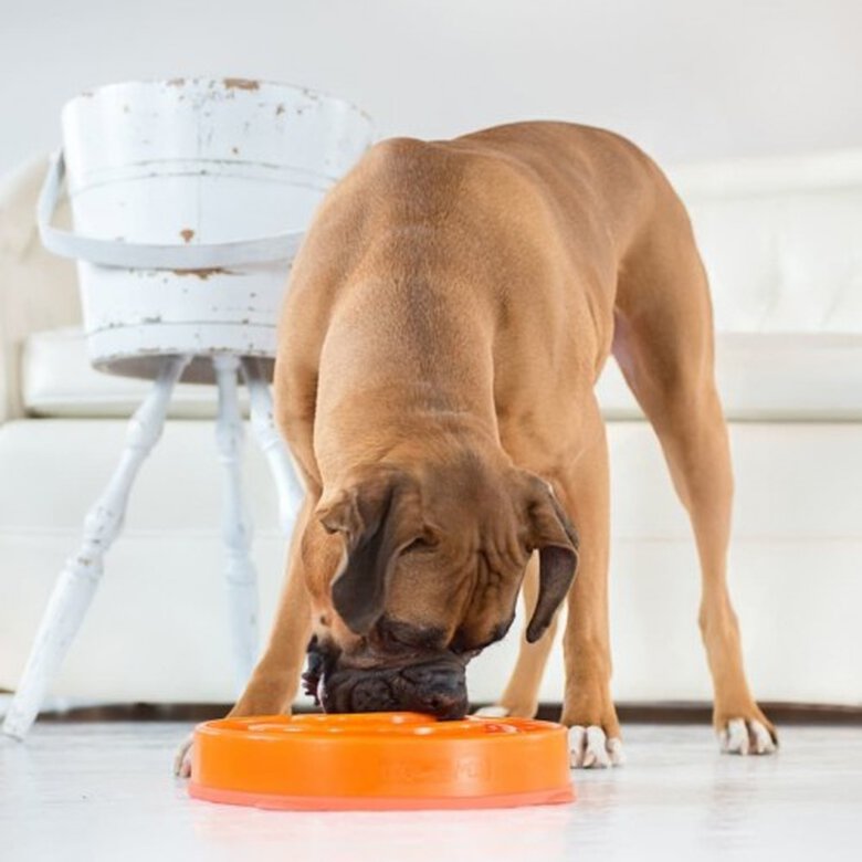 Comedero lento Slo Bowl para perros color Naranja, , large image number null