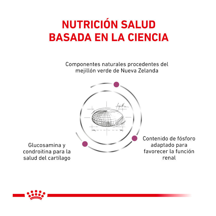 Royal Canin Veterinary Mobility pienso para gatos thumbnail