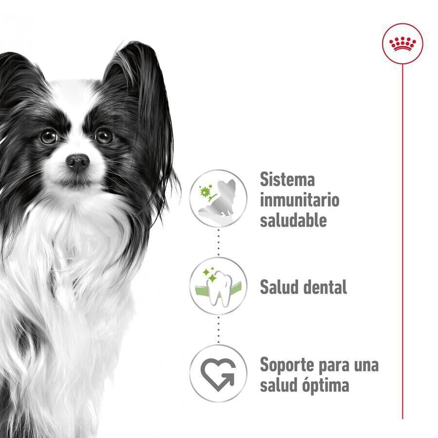 Royal Canin X-Small Adult pienso para perros thumbnail