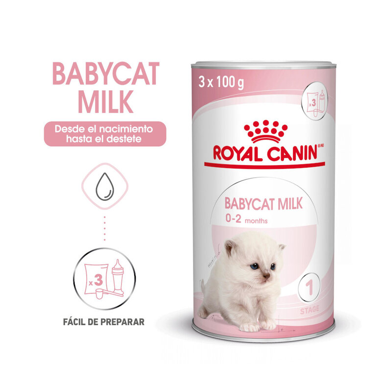Royal Canin Leche para gatitos primer año, , large image number null