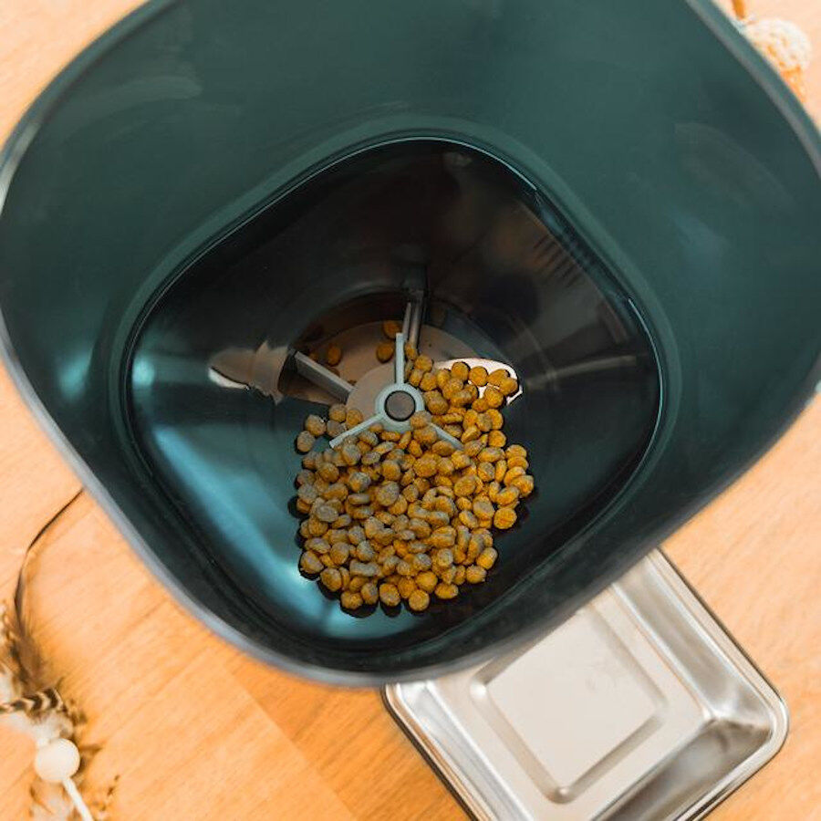 Cecotec Pumba 6000 Purrfect Meal Smart Comedero Autom&aacute;tico para perros y gatos, , large Imagen numero 11