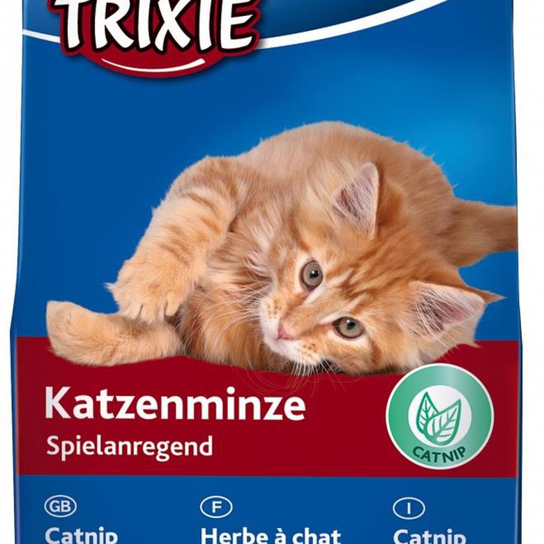 Trixie 4225 - Hierba gatera, 20 g, , large image number null