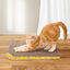 Nobleza 2 Piezas Rascador para Gatos Carton Corrugado, Hierba Gatera Alfombrillas de Cartón Rascador, 40 x 25cm, , large indicador imagen numero 5