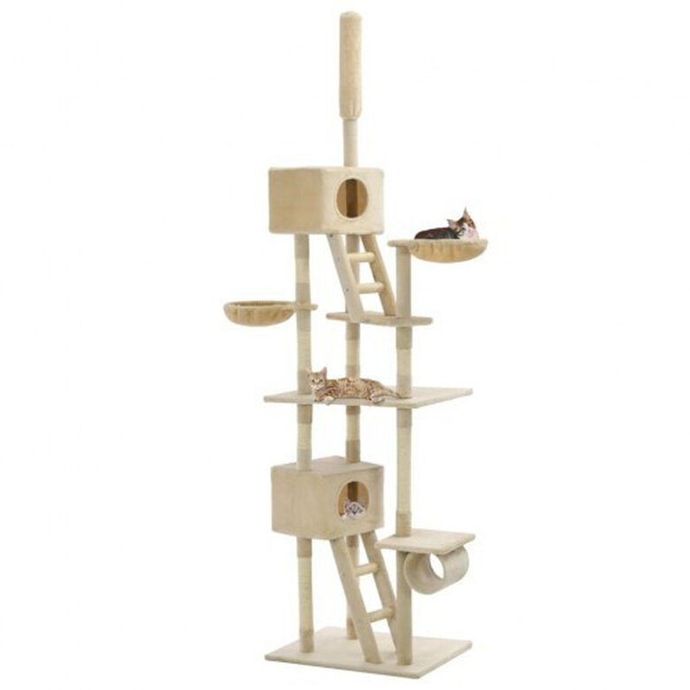 Árbol rascador para gatos color Beige, , large image number null