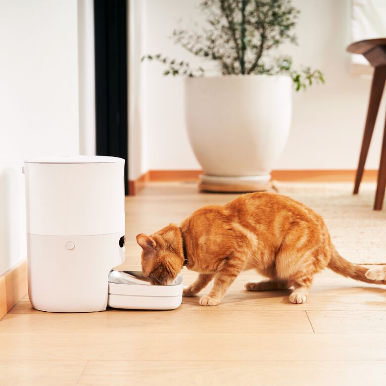 Pawsync Comedero automático inteligente con diseño elegante para perros y gatos thumbnail