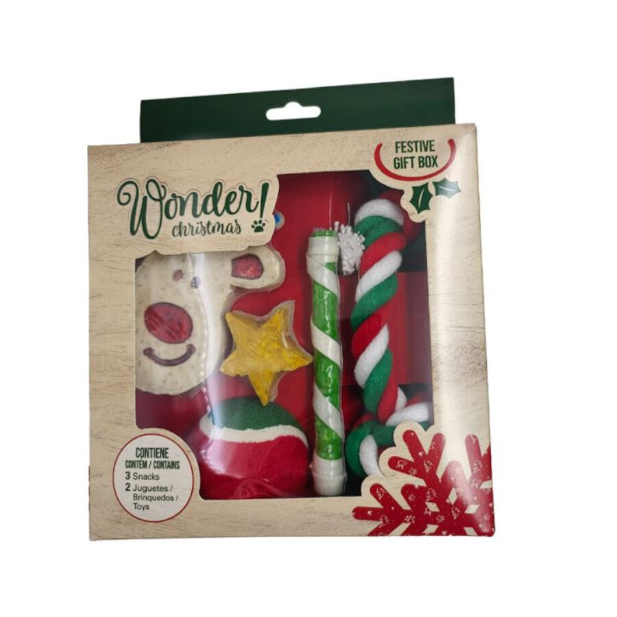 1 ud. Guau Christmas Caja de Regalos para perros, , large Imagen numero 1