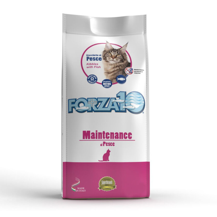 Forza10 Maintenance Pescado pienso para gatos