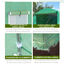 Outsunny Invernadero de Túnel 400x200x200 cm Invernadero de Jardín con Puerta Enrollable y Ventanas Múltiples Cubierta PE 140 g/m² Anti-UV Marco de Metal para Cultivo Plantas Verduras Verde, , large indicador imagen numero 5