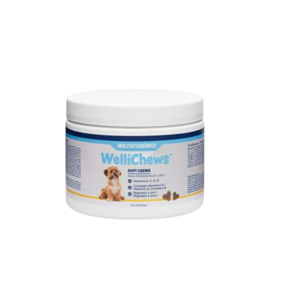 Swedencare Wellichews Multivitam&iacute;nico para perros, , large Imagen numero 1