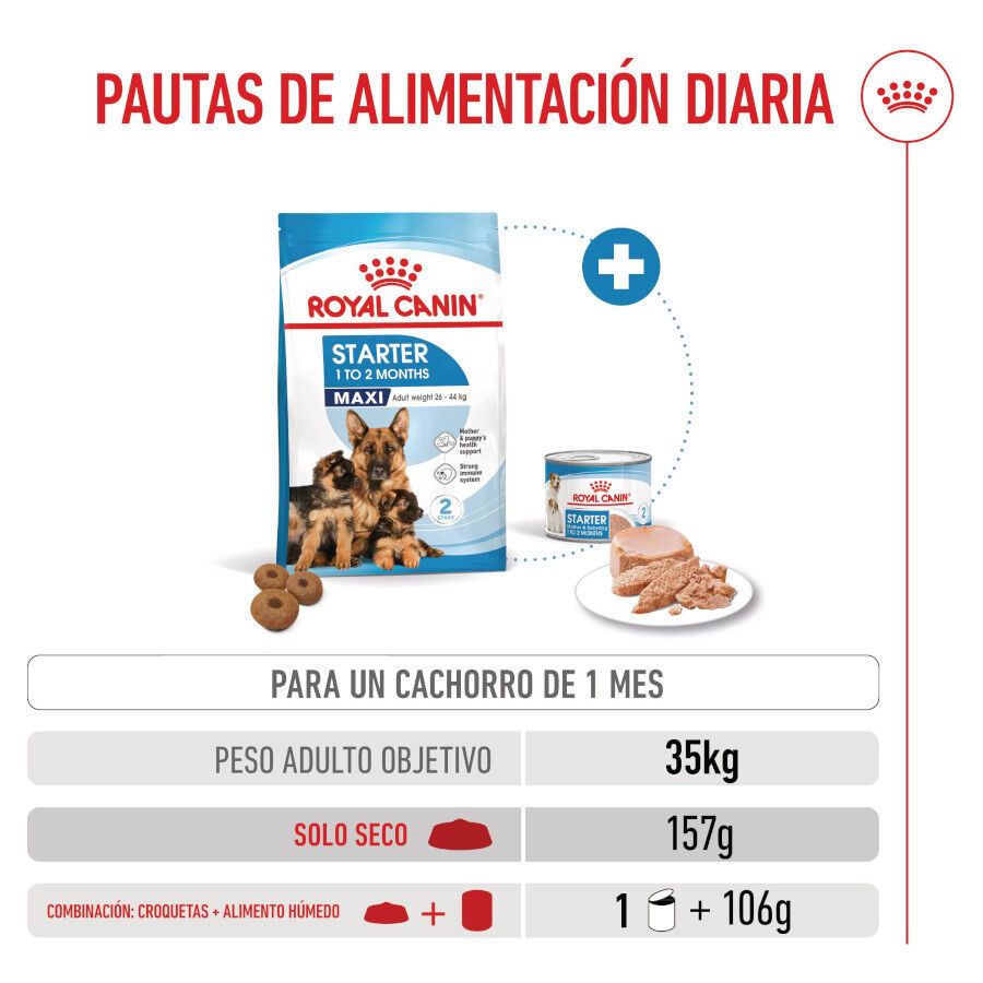 Royal Canin Starter MotheryBaby Maxi pienso para perros thumbnail