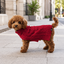 Gotoo Jersey de Punto Rojo para perros, , large indicador imagen numero 1