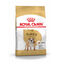 12 kg Royal Canin Adult Bulldog pienso para perros, , large indicador imagen numero 1