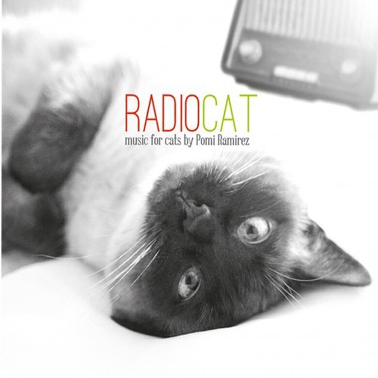Música para gatos Radio Cat color Varios, , large image number null