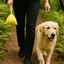 Nice Care Basic Bolsitas Lavanda Limón para perros, , large indicador imagen numero 4