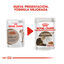 85 g Royal Canin Ageing 12+ sobre en salsa para gatos, , large indicador imagen numero 3