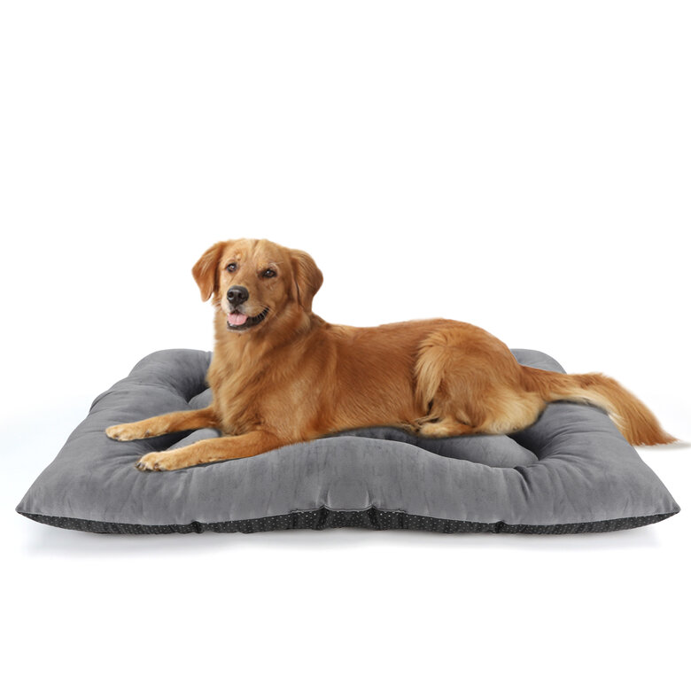 Nobleza Cama Para Perro Medianos, Colchoneta Para Perros, Cojín Suave Para Gatos Y Perros, Colchón Perro Grande Lavable Antideslizante, 80x50x12cm, Gris Claro