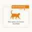 Beaphar Flexifit Bits Condroprotector para gatos, , large indicador imagen numero 4
