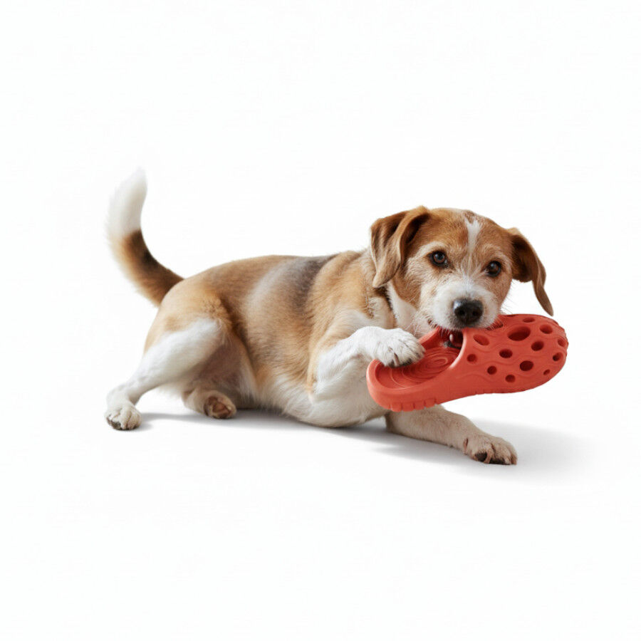 All For Paws Pantuflas Air Pups Juguete para perros &nbsp;, , large Imagen numero 2