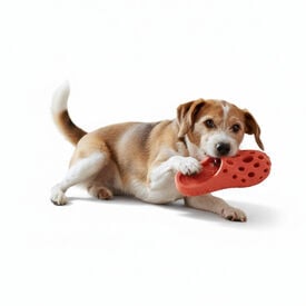 All For Paws Pantuflas Air Pups Juguete para perros  