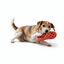 All For Paws Pantuflas Air Pups Juguete para perros &nbsp;, , large indicador imagen numero 2